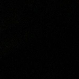 Meet your Posher, Shakaela